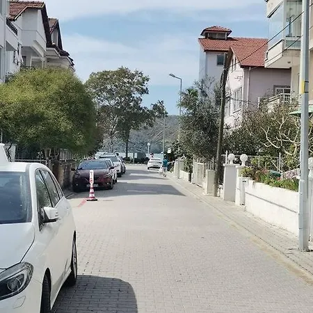 Mulberry * פאטהיה